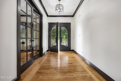 Entry into Iron front doors