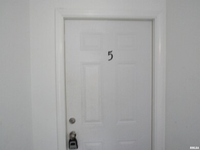 1219 N Perry St unit 5, Davenport, IA 52803 - photo 4