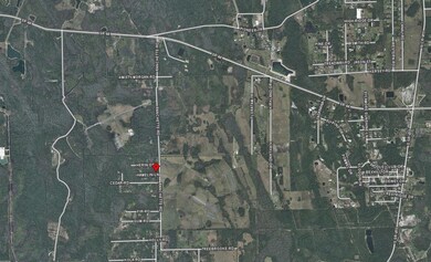 442 Ranchette Rd, New Smyrna Beach, FL 32168 - photo 3