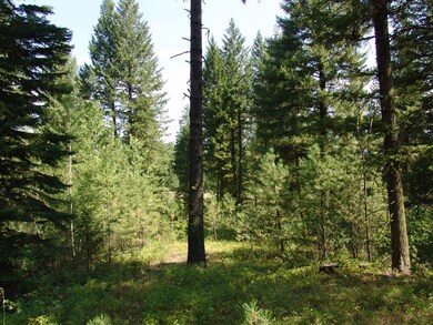 Beautiful Natural Foliage & Mature Timber