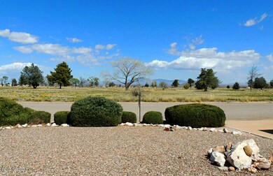 View from Front Yard