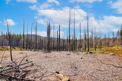 10020- Grizzly Flat Rd, Grizzly Flats, CA 95636 - photo 4