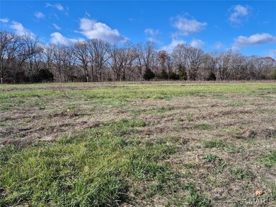 0 Logan School Rd (28 2+ - Acres), New Florence, MO 63363 - photo 3