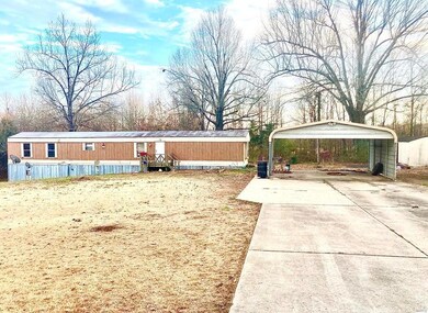 1104 County Road 302, Poplar Bluff, MO 63901 - photo 2