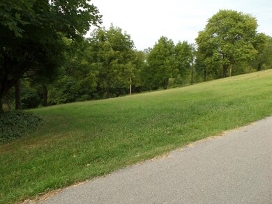 Lot 7 Irish Hills Blvd, Kimberling City, MO 65686 - photo 4