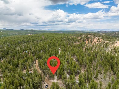 Drone view