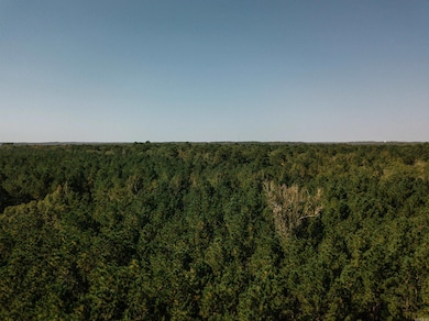 North Parcel
