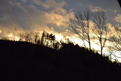 67 Randall Lake Rd, Parsonsfield, ME 04047 - photo 6