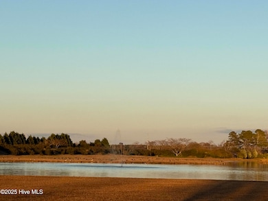 119 Quarter Horse Ln, Hertford, NC 27944 - photo 3