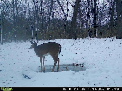 9720 Airport Rd, Beardstown, IL 62618 - photo 4