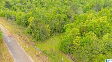 1432 Mardisville Rd, Talladega, AL 35160 - photo 5