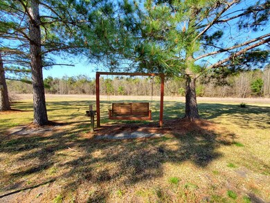 Side Yard and Swing