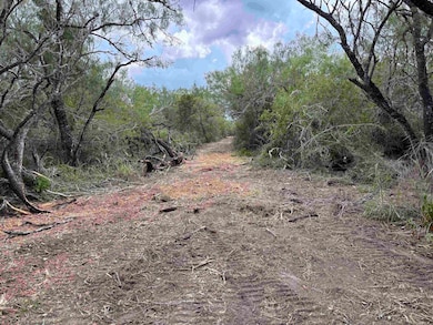 0 Cr 406 (E Off Of) unit County Road 406, Falfurrias, TX 78355 - photo 6