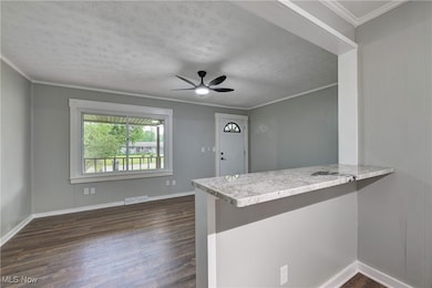 263 W Lincoln St, Oberlin, OH 44074 - photo 7