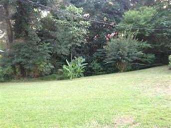 140 Lawrence St, Prattville, AL 36067 - photo 6