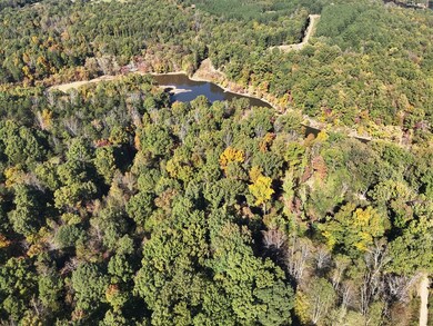 000 Roaring Fork Lake Rd, Chatham, VA 24531 - photo 6