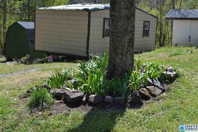 10066 Mize Rd, Remlap, AL 35133 - photo 6