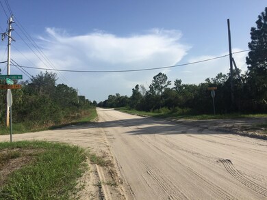 Doug Williams: Satellite Blvd