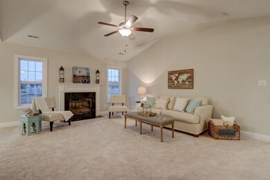 284 Petersburg Rd Richlands NC-print-006