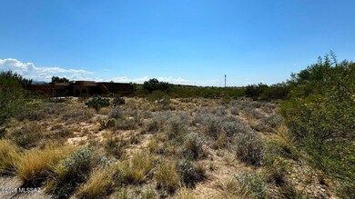 Lot 317