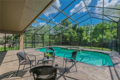 Pool deck.