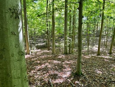 833 Township Road 754, Ashland, OH 44805 - photo 6