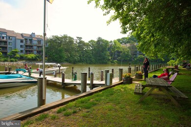 1140 Cove Rd unit 302, Annapolis, MD 21403 - photo 4