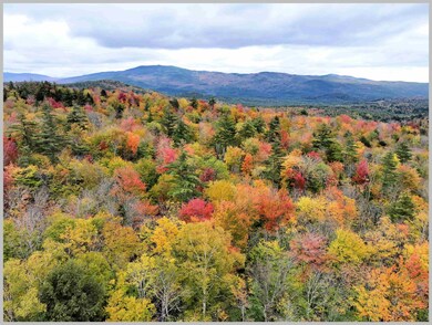 73 Fraser Rd, Wentworth, NH 03282 - photo 7