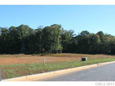 510 Wallace Springs Rd, Statesville, NC 28677 - photo 5