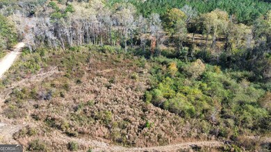 0 George Strickland Rd unit 10626764, Claxton, GA 30417 - photo 6