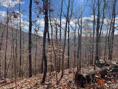 10356 County Road 17, Woodville, AL 35776 - photo 3