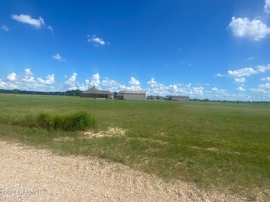 0 Chinaberry Dr, Eunice, LA 70535 - photo 4