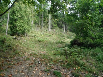 0 Fisk Rd E unit 693308, Orting, WA 98360 - photo 7