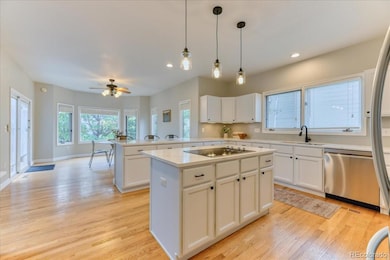 58 Rogers Ct, Golden, CO 80401 - photo 7