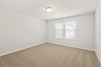 4029 Francis Spring Way, Inman, SC 29349 - photo 6