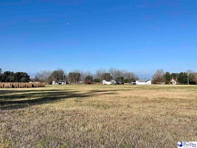 Hwy 9 Angelus Rd, Chesterfield, SC 29709 - photo 5