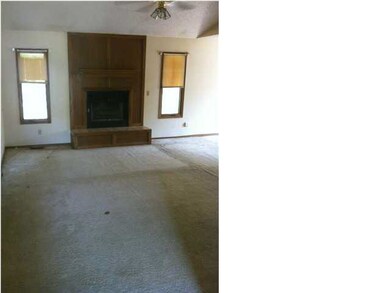 Fireplace in Living Room