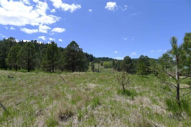 9 Copper Canyon Ct unit 12++, Cloudcroft, NM 88317 - photo 5