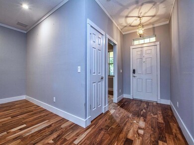 30238 Tokara Terrace, Mount Dora, FL 32757 - photo 5