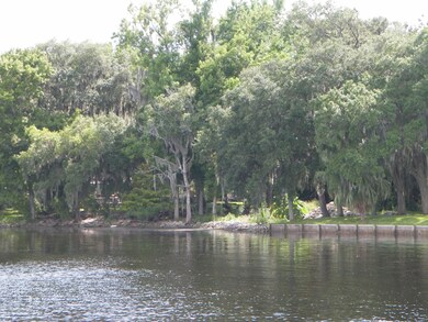 Raggedy Point Shoreline View 1