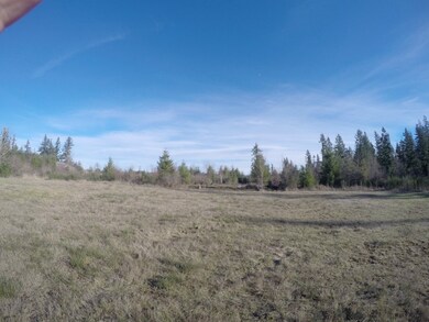 unlisted-address, Yelm, WA 98597 - photo 3