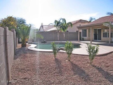 Back-Yard