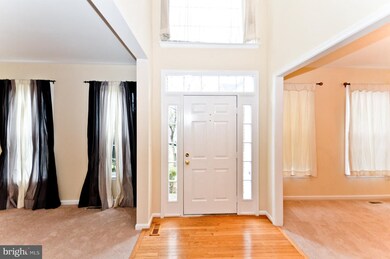 7712 Royal Azalea Ct, Springfield, VA 22153 - photo 7