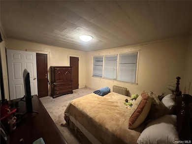 Bedroom with radiator and carpet floors