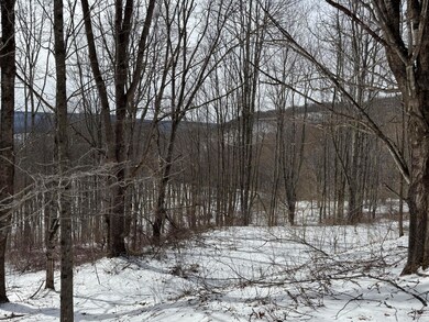 Tract 3 Big Spring of Elk