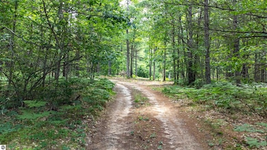 Parcel F Vans Ln, Fife Lake, MI 49633 - photo 2