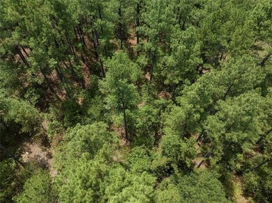 11 Sweet Elm Ln, Broken Bow, OK 74728 - photo 6