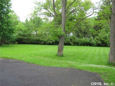 Yard/Garden