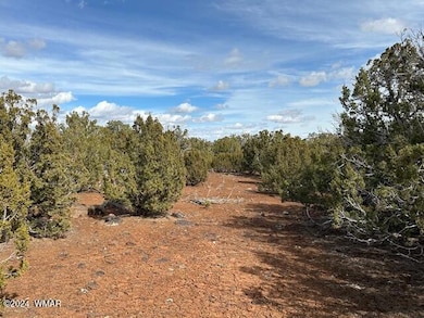 233 Cr 8088 Hohokam Rd unit 8088, Concho, AZ 85924 - photo 4