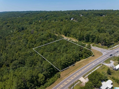 0000 Highway 52 unit 12-6-13-0-000-021.00, County, AL 35080 - photo 3